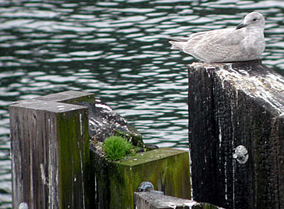 dscn1037101.jpg