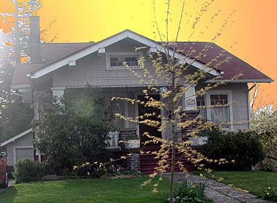 dscn1037103.jpg