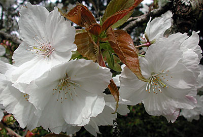 dscn1037157.jpg