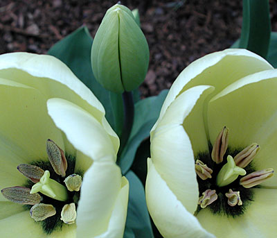 dscn1037172.jpg