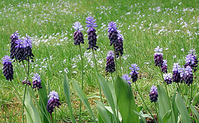 dscn1037186.jpg