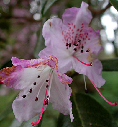 dscn1037194.jpg