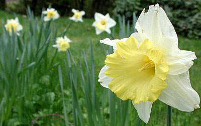 dscn1037197.jpg