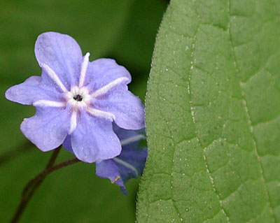 dscn1037208.jpg