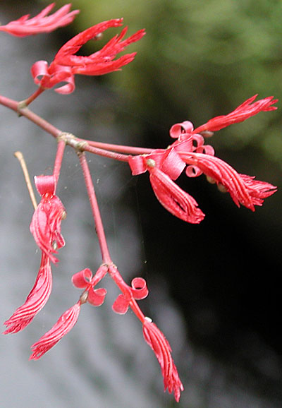 dscn1037219.jpg
