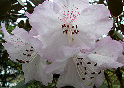 dscn1037224.jpg