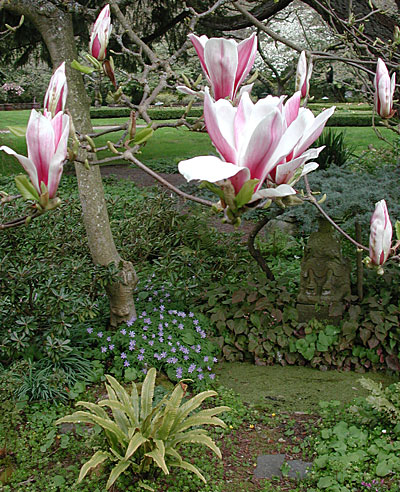 dscn1037231.jpg