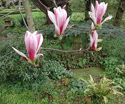 dscn1037232.jpg
