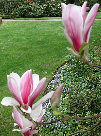 dscn1037233.jpg
