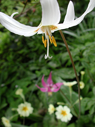dscn1037239.jpg