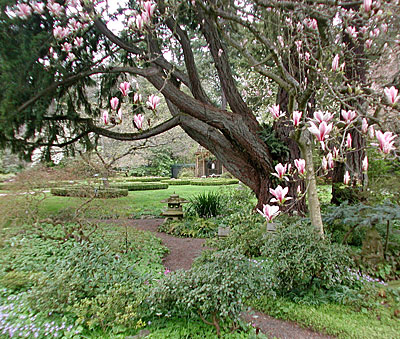 dscn1037240.jpg