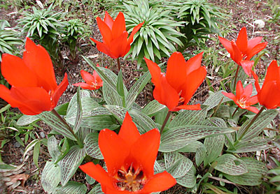 dscn1037242.jpg