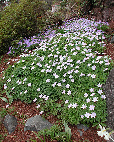 dscn1037244.jpg