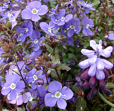 dscn1037245.jpg