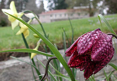 dscn1037246.jpg