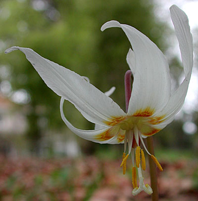 dscn1037253.jpg