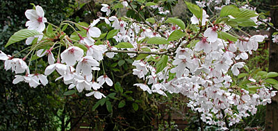 dscn1037255.jpg