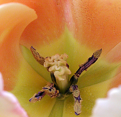 dscn1037257.jpg