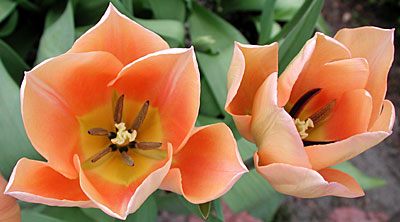 dscn1037258.jpg