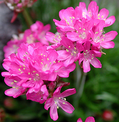 dscn1037264.jpg