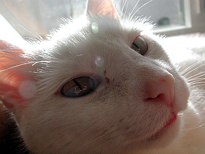 dscn1037356.jpg