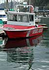 dscn1037095.jpg