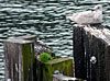 dscn1037101.jpg