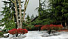 dscn1037126.jpg