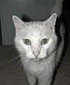 dscn1037134.jpg