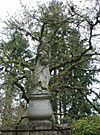 dscn1037156.jpg