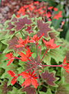 dscn1037162.jpg