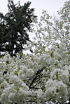 dscn1037169.jpg