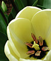 dscn1037170.jpg
