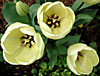 dscn1037171.jpg
