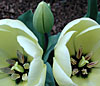 dscn1037172.jpg