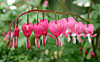 dscn1037173.jpg