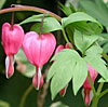 dscn1037177.jpg