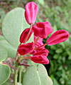 dscn1037181.jpg