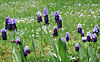 dscn1037186.jpg