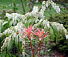 dscn1037188.jpg