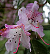 dscn1037194.jpg
