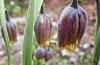 dscn1037198.jpg
