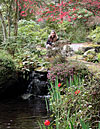 dscn1037214.jpg