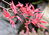 dscn1037220.jpg