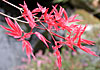 dscn1037221.jpg