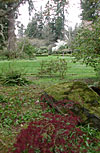 dscn1037223.jpg