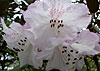 dscn1037224.jpg