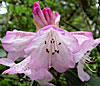 dscn1037225.jpg