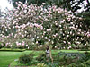 dscn1037226.jpg