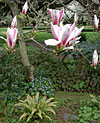 dscn1037231.jpg